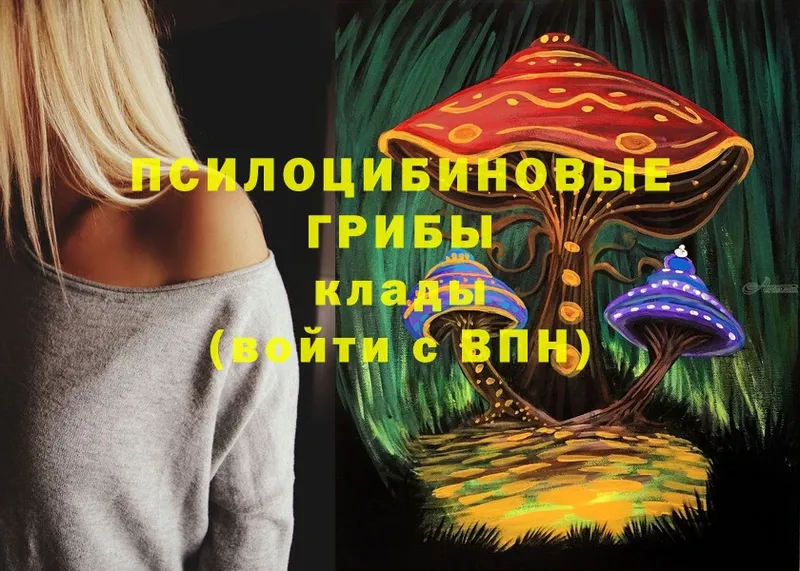 Галлюциногенные грибы Psilocybine cubensis  Кологрив 